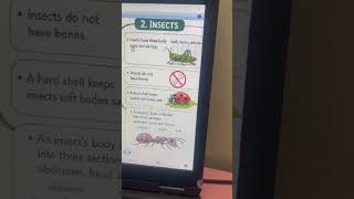 classification of animals fish+insects Bảo 2k13 online video cutter com