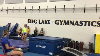 Gabby V2 2026 Silver Mock Meet
