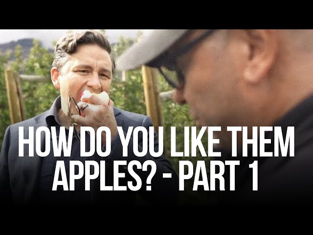 How do you like them apples? - PART 1 class=