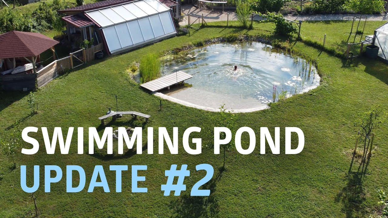 Two Year Swimming Pond Update