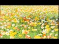Vivaldi：ヴァイオリン協奏曲 ホ長調　「春｣「第3楽章」