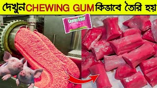 চুইংগামে যা মিশিয়ে তৈরি করা হয় দেখলে চমকে উঠবেন।Chewing Gum Making Process screenshot 3