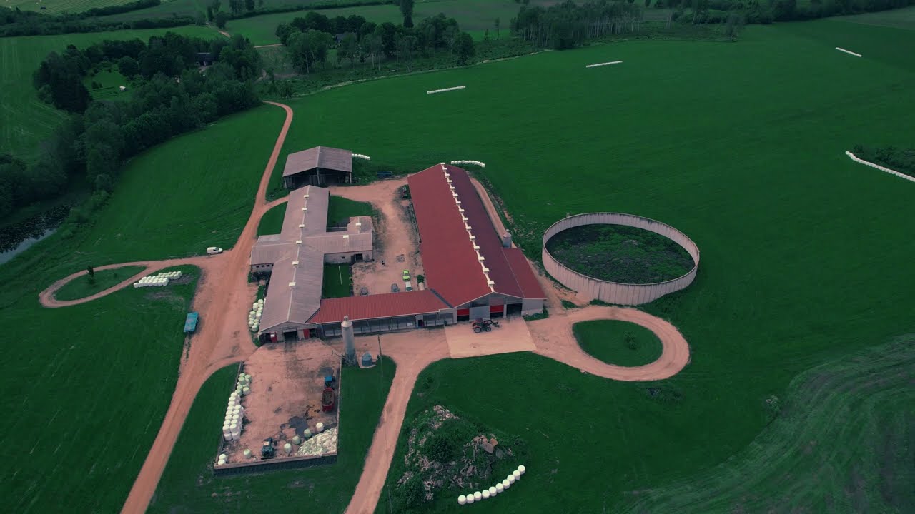 Welcome to Muraka Farm in the heart of Estonia! 🐄💚