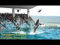 kamogawa Seaworld Japan | Complete Show 2022