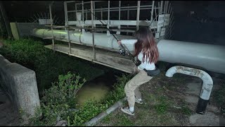 夜中の水路で巨大魚に引きずり込まれる・・・