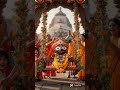 Joy Jagannath❤❤❤#shorts#shortsfeed#trendingshorts#viralvideo#viralshort#utubeshort