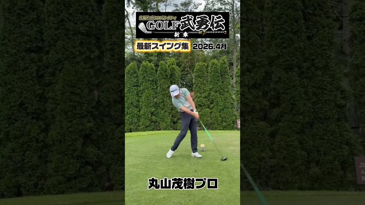 最新スイング集⛳️丸山茂樹プロ2026.4 #ゴルフ #コーチ