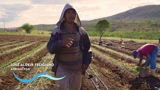 Transposição do Rio São Francisco - agricultores voltam a produzir