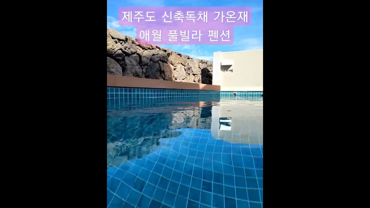 전체 동영상