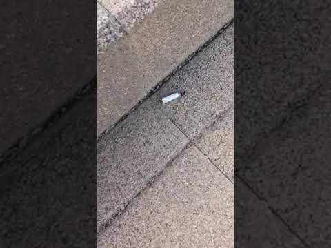 Watch An ant takes a cigarette for smoking 😂😂😂🤦♂️ on YouTube Watch An ant takes a cigarette for smoking 😂😂😂🤦♂️ on YouTube