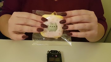 ASMR  [No Talking]  Tapping, Crinkling, Brushing ¦ Fisrt Video!