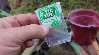 Easy Way to Handle Fall Garden Seeds