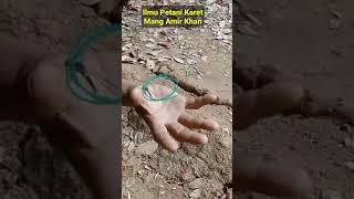 CARA PETANI KARET MEMANGGIL BINATANG CAPUNG#shorts