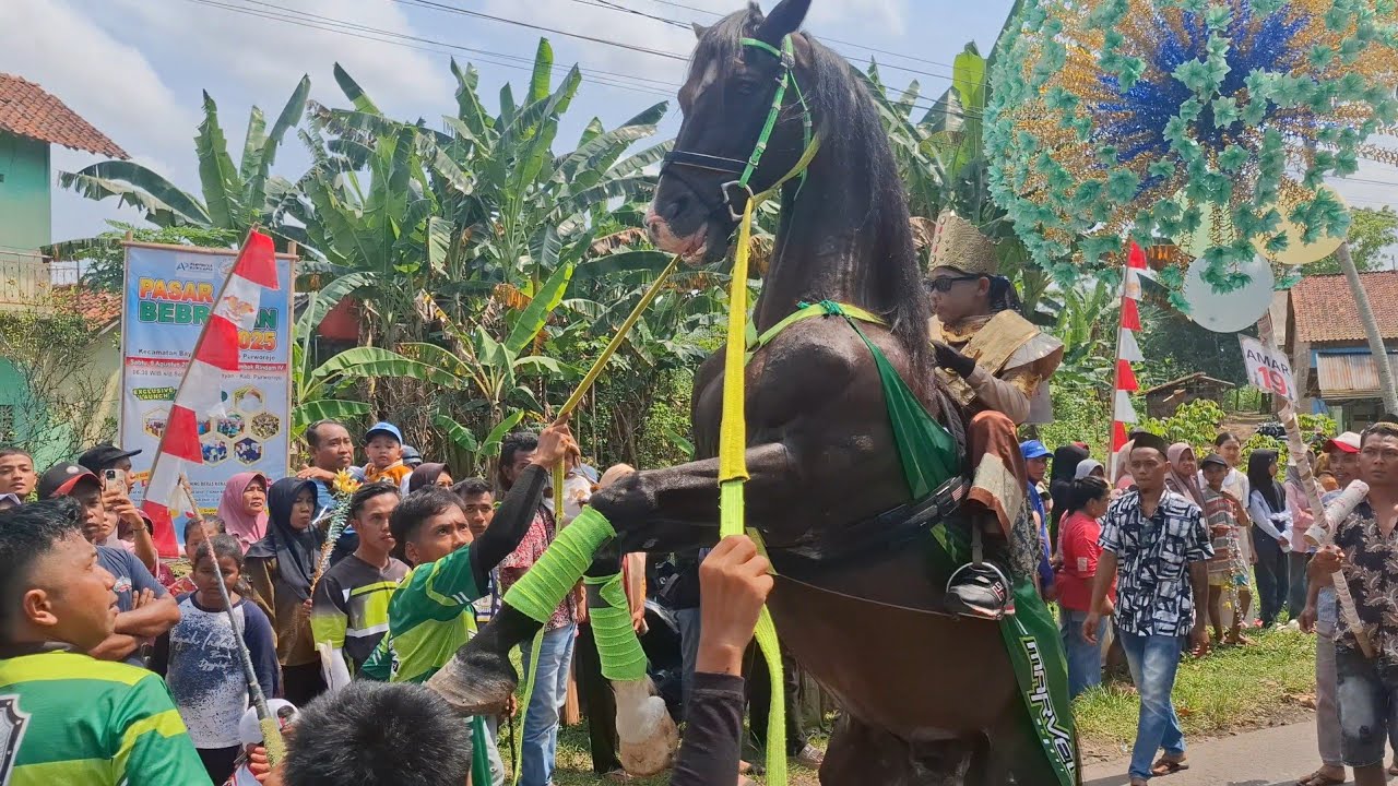 Kuda Pilihan Terbaik Ada Disini ‼️ Arak Arakan Desa Bringin