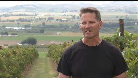 Idaho Wineries Use Lasers to Protect Crops from Birds