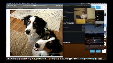Tom iOS CoreML Object Detection App