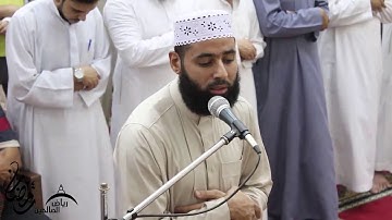 آيات تبكي الحجر من سورة النمل 😢