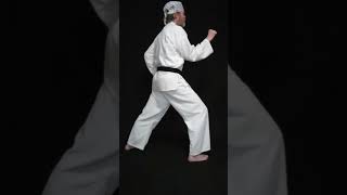Taekwondo Outer Forearm Block Net Worth