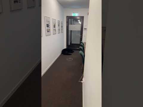 Fotoshooting Vorbereitung #shorts