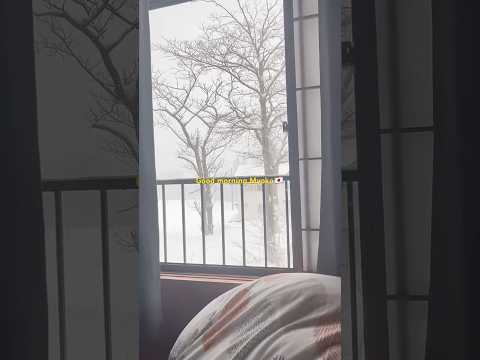 Shortvideos Japan Myoko 