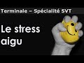 Le stress aigu  ladaptabilit de lorganisme  svt  terminale