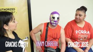 Lucha Libre Phoenix Iv