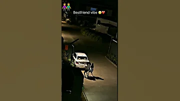 So Sweet And Cute Bestfriend Night Nightmadness Dance Shortvideo Contentcreator Youtube 