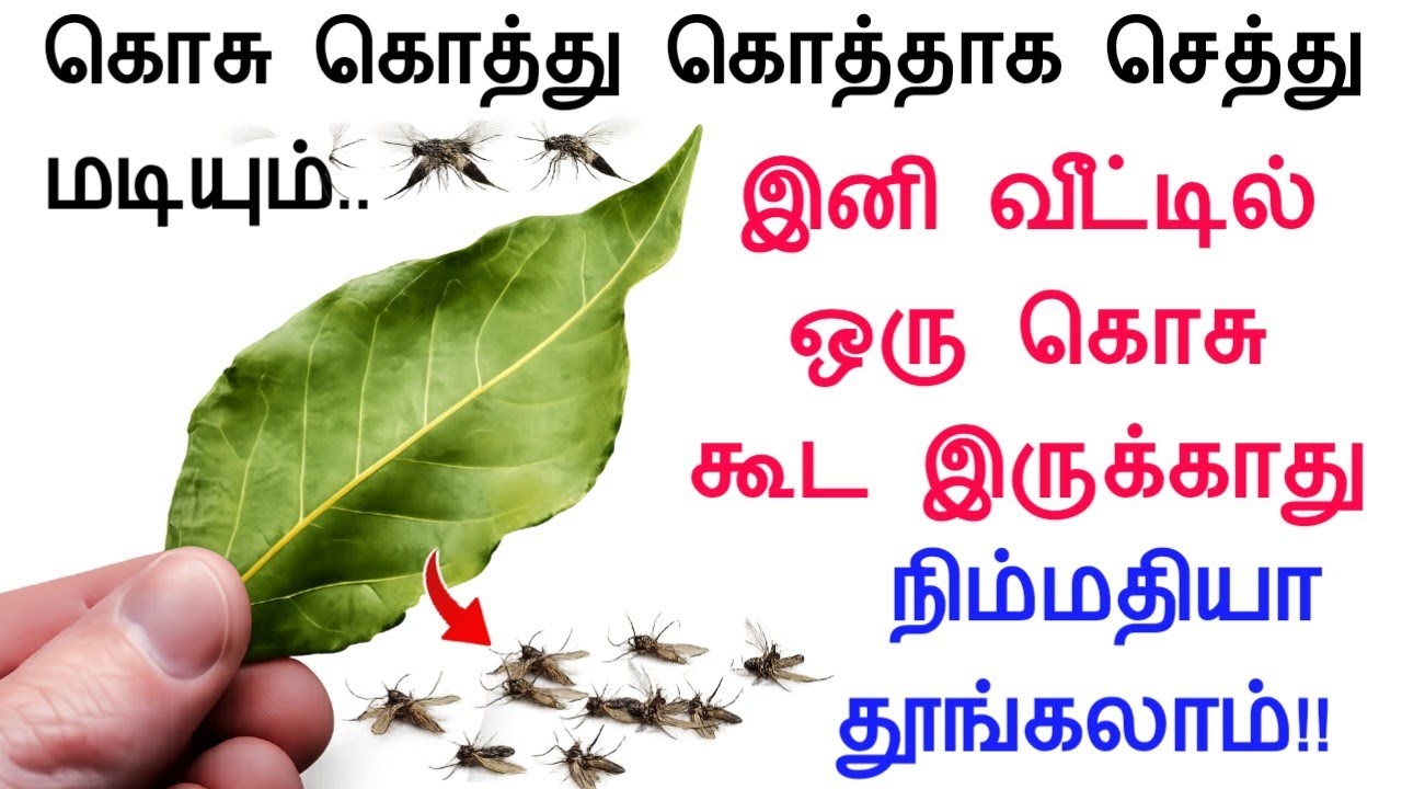 அட இவ்வளோ நாள் இது தெரியாம போச்சே....