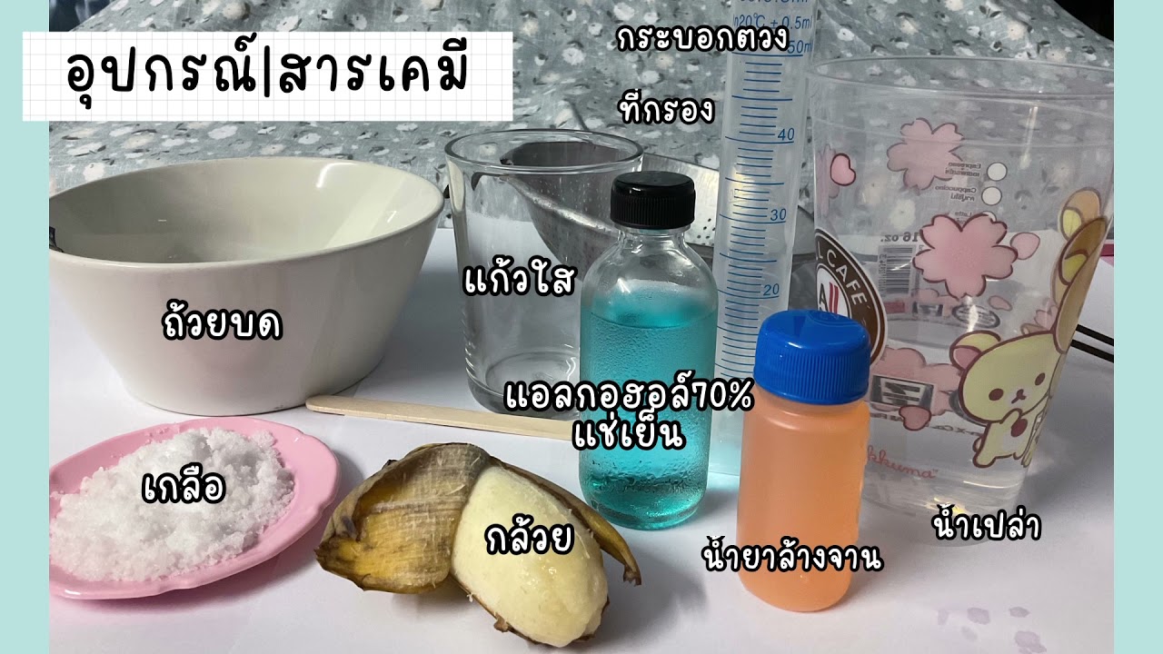 การสกัดDNA