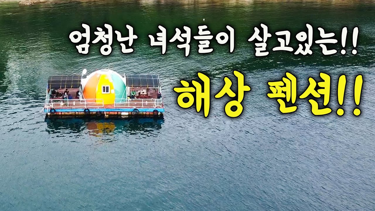 [다리tv] 헉! 발밑에 엄청난 녀석들이 바글바글한 해상펜션!!! 엄청 바쁨!!!