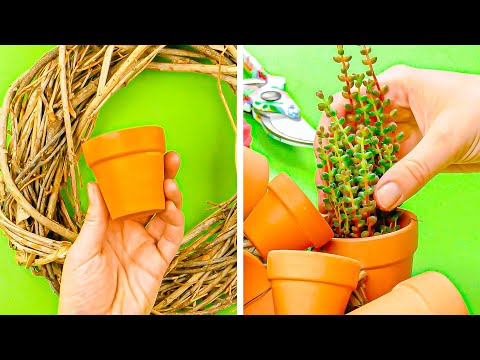 Video: Succulenti ornamenti natalizi – Realizzazione di ornamenti con piante grasse