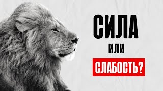 Одиночество удел сильных?