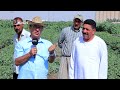 به رنامێ چاندن چنینا باجانا 