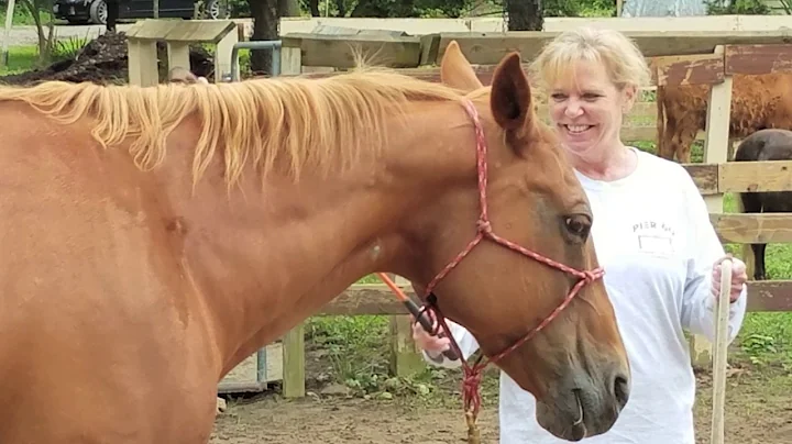 Patricia Mackey - US Army  - Warrior Ranch Testimo...