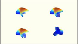Werner Boy's Surface