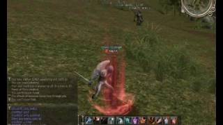 Kamael Skills Overseen