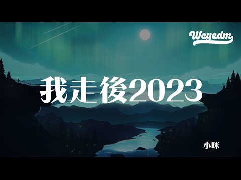 小咪 - 我走后2023 (DJ默涵版)「我走了你别在难过心里有话都不想再说 记得以后你要快乐」【動態歌詞/pīn yīn gē cí】#小咪 #我走后2023 #動態歌詞