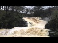 Ingleton Waterfalls in flood
