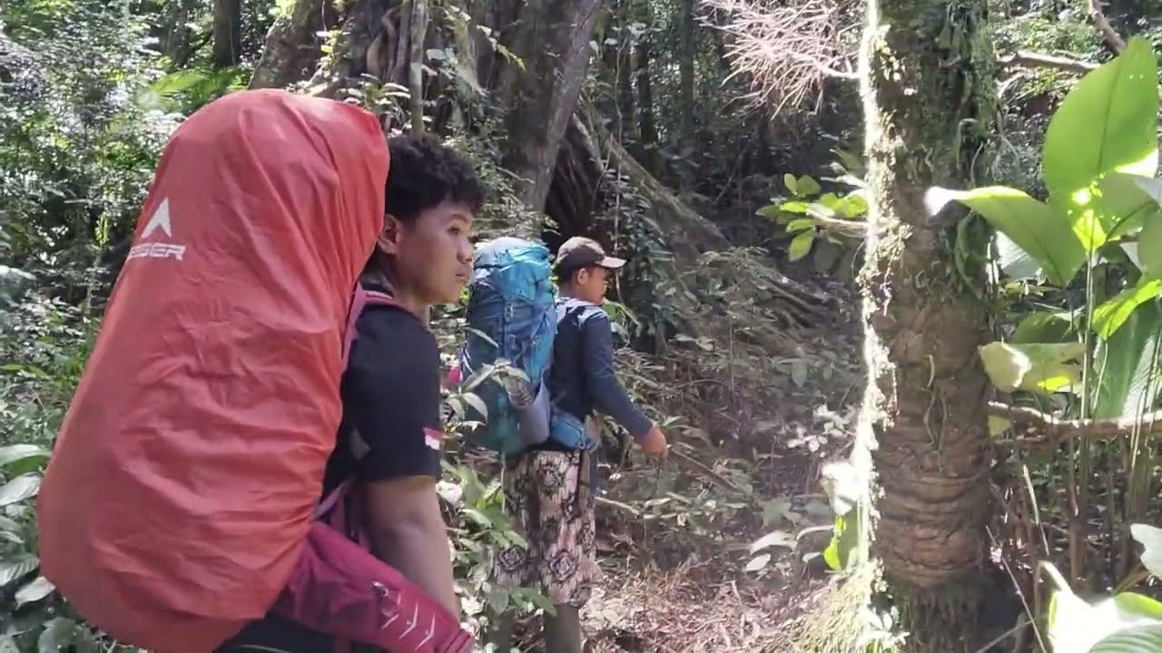 GUNUNG PASAMAN #1 - Pasaman Barat, Sumatera Barat 🇮🇩