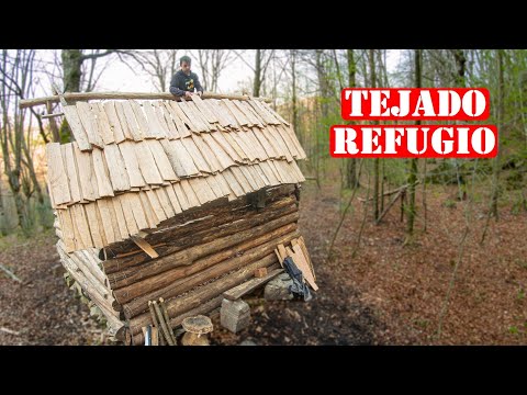 Video: Rincón De Vida Salvaje