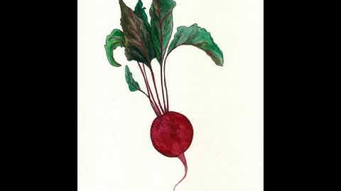 Handwritten Letters -- Jitterbug Perfume