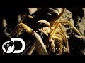 An Ancient Monster In The Lost City Of Petra | Wildest Middle East