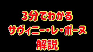 ブルゴーニュ！サヴィニー・レ・ボーヌ解説！　シモンビーズ！の試飲と共に！