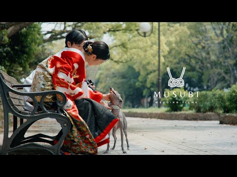結び-福岡・九州前撮りムービー、フォト-