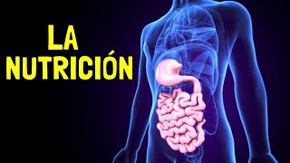 La FUNCIÓN DE LA NUTRICIÓN - Procesos, alimentos y nutrientes