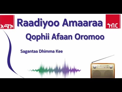 AMECO HIBIR Raadiyoo Amaaraa Sagantaa Afaan Oromoo Sagantaa Dhimma Keenyaa 28 11 2017