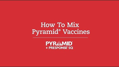How to Properly Mix Pyramid® Vaccines​