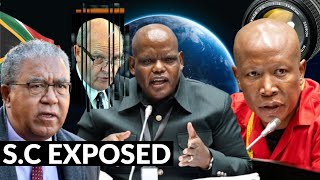 Malema & Phahlane Expose The Evidence Leader Is He Working For Paul Osullivan?