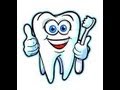 Functions and Characteristics of Teeth