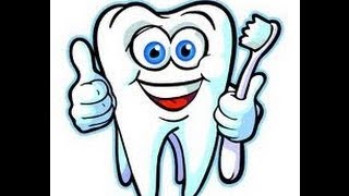 Human Teeth Types -Video for Kids Human Teeth Types -Video for Kids